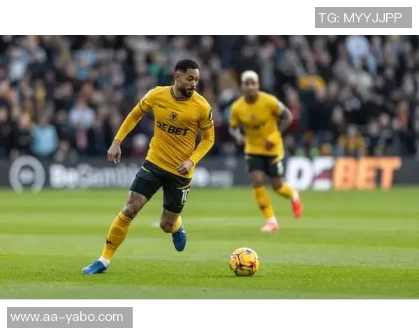 曼联战平狼队后球迷呼吁引援俱乐部冬窗或无大动作